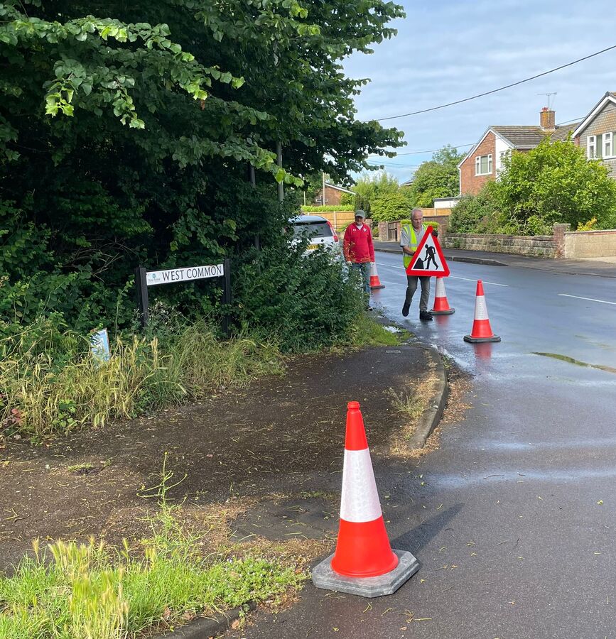 Verge Clearing West Common 6 June 2025